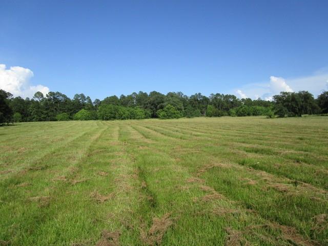 Fielder Lane, Pearl River, Louisiana image 1