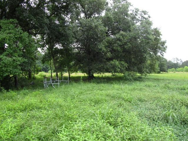 Fielder Lane, Pearl River, Louisiana image 11