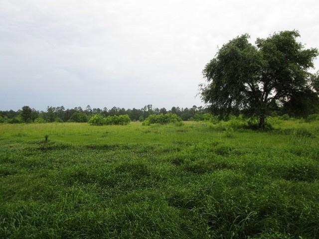 Fielder Lane, Pearl River, Louisiana image 12