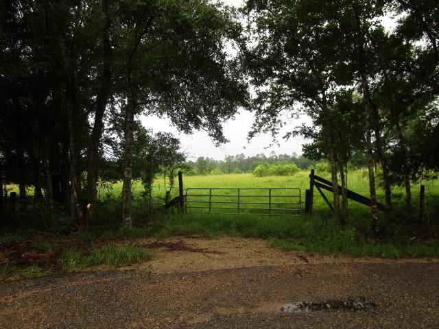 Fielder Lane, Pearl River, Louisiana image 13