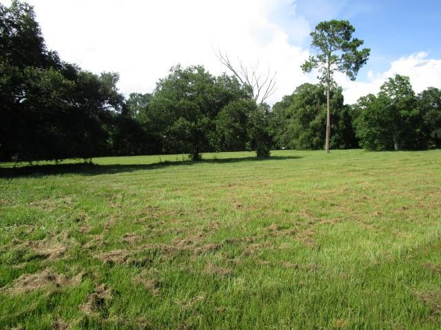 Fielder Lane, Pearl River, Louisiana image 2