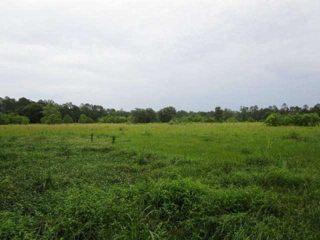 Fielder Lane, Pearl River, Louisiana image 3