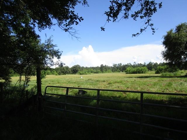 Fielder Lane, Pearl River, Louisiana image 4