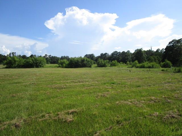 Fielder Lane, Pearl River, Louisiana image 5