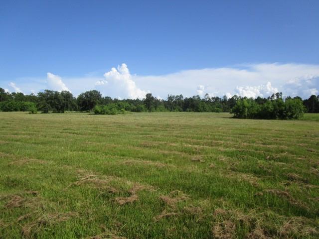 Fielder Lane, Pearl River, Louisiana image 6