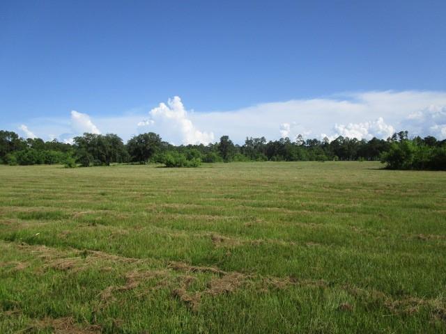 Fielder Lane, Pearl River, Louisiana image 7