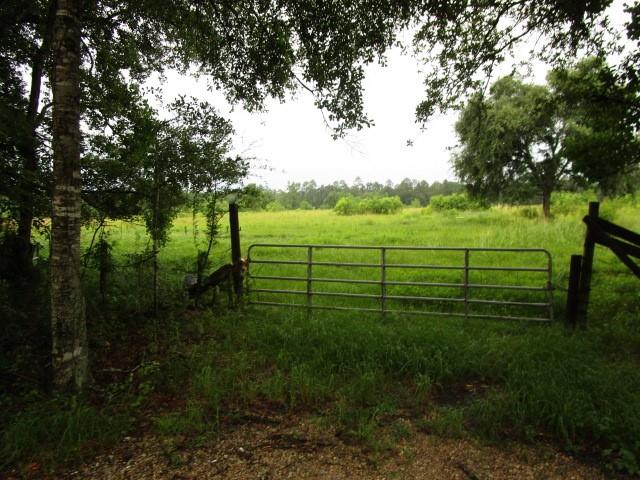 Fielder Lane, Pearl River, Louisiana image 9