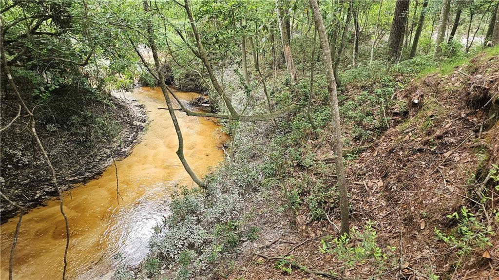 Lot 1E Little River Court, Covington, Louisiana image 16