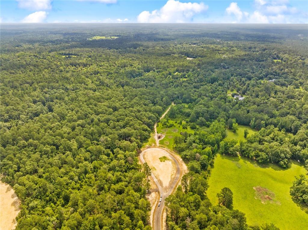 Lot 1E Little River Court, Covington, Louisiana image 7
