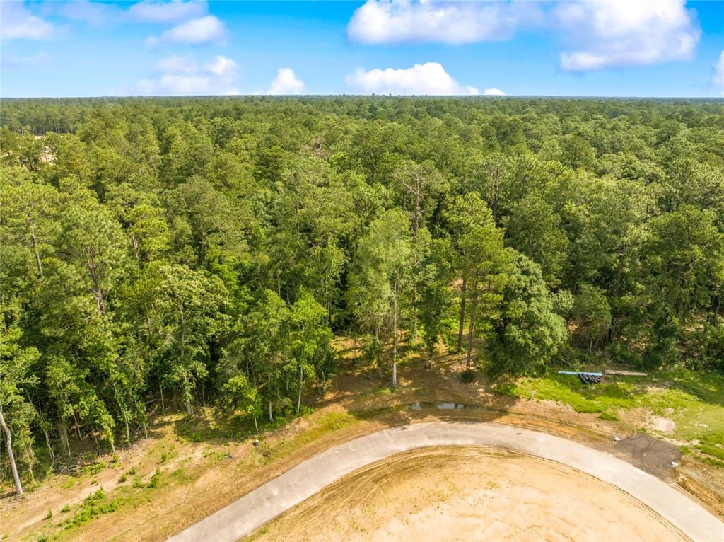 Lot 2E Little River Court, Covington, Louisiana image 1