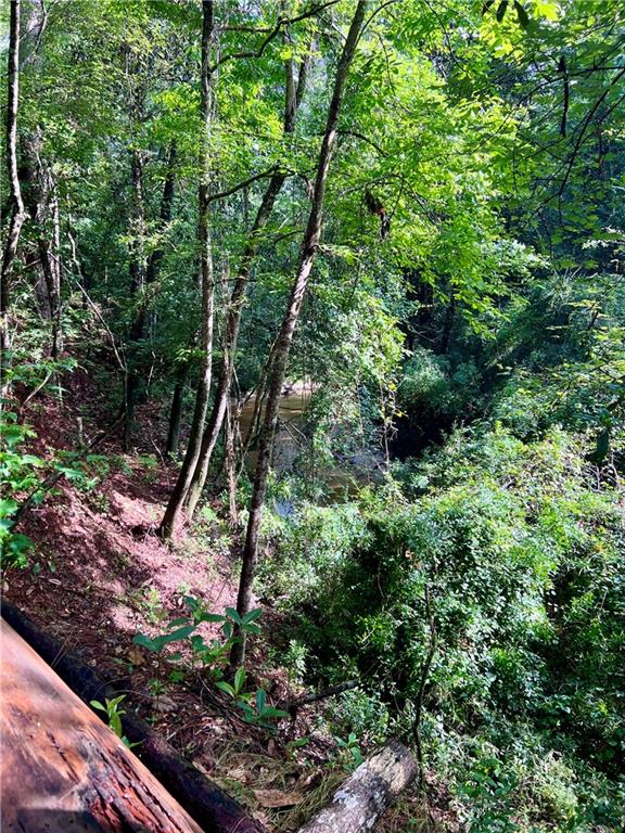 Lot 2E Little River Court, Covington, Louisiana image 19
