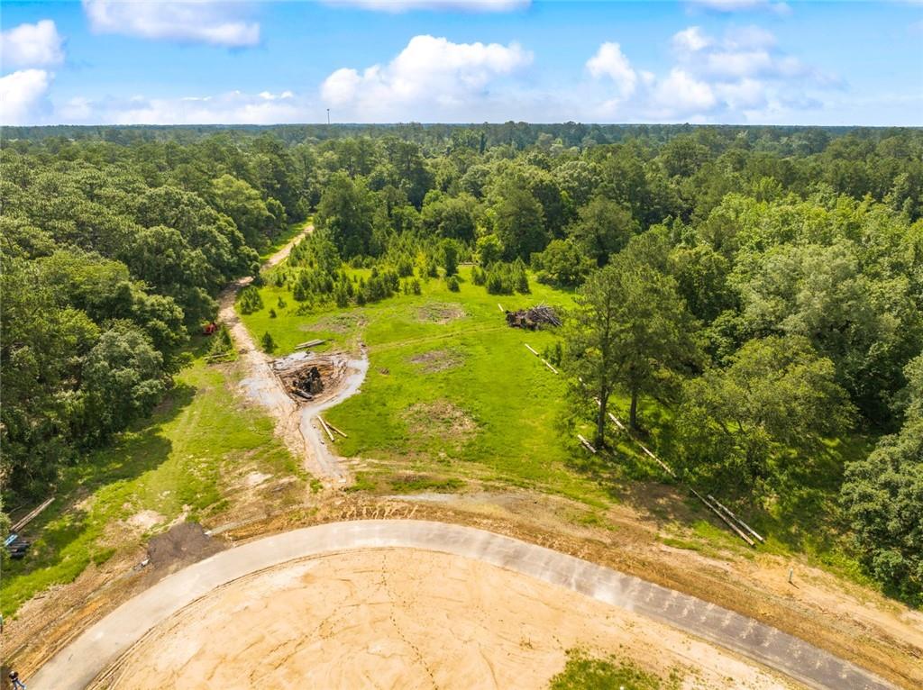 Lot 2E Little River Court, Covington, Louisiana image 3