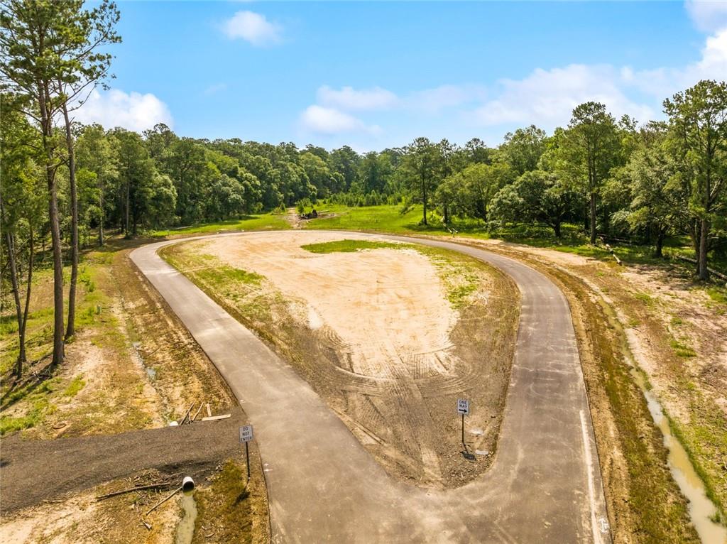 Lot 2E Little River Court, Covington, Louisiana image 7