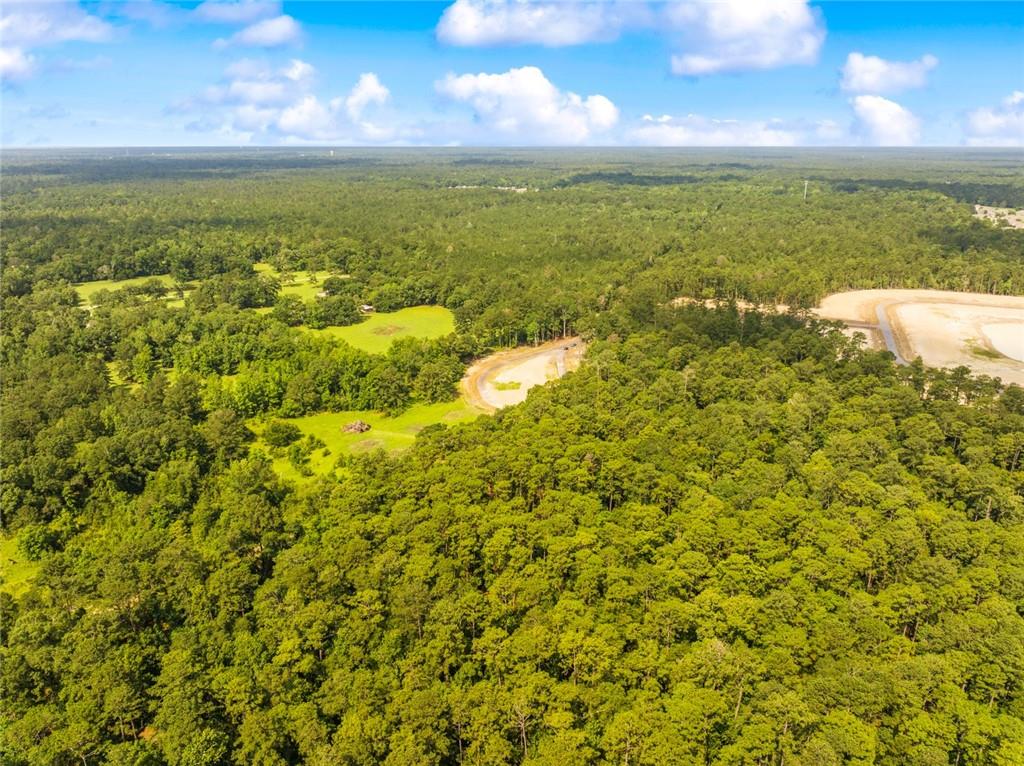 Lot 3E Little River Court, Covington, Louisiana image 10