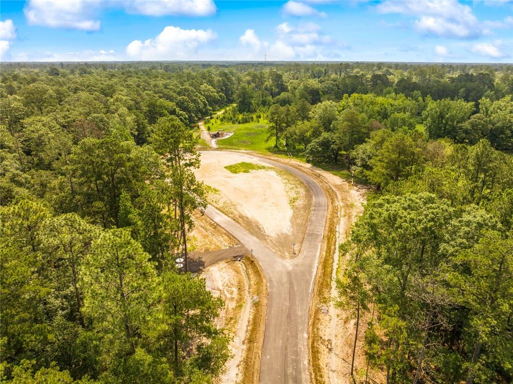 Lot 3E Little River Court, Covington, Louisiana image 4