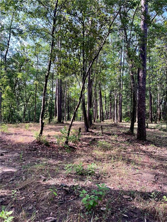 Lot 5E Little River Court, Covington, Louisiana image 21