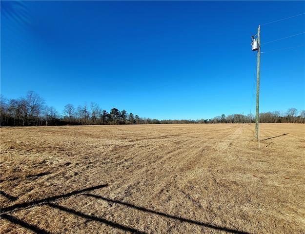 71251 1051 Highway, Kentwood, Louisiana image 3