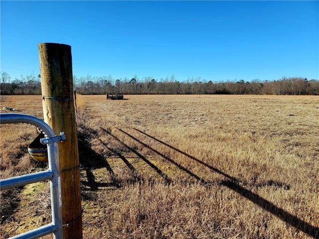 71251 1051 Highway, Kentwood, Louisiana image 9