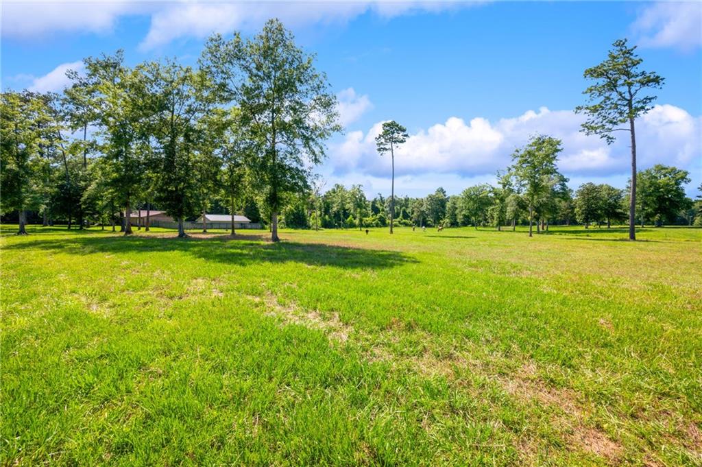 46453 Poplarhead Road, Franklinton, Louisiana image 2