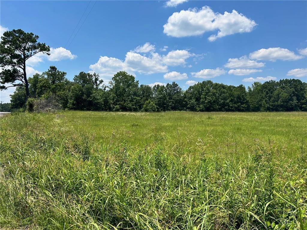 Mt Pleasant Road, Bogalusa, Louisiana image 1