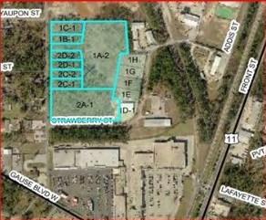 Carnation Street, Slidell, Louisiana image 1