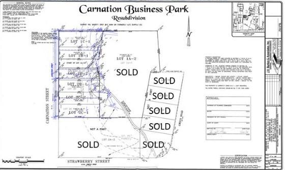 Carnation Street, Slidell, Louisiana image 2