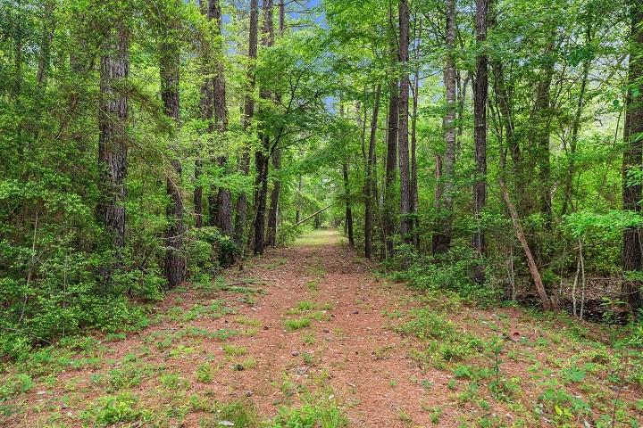 Ms Hwy 35 South, Tylertown, Mississippi image 23