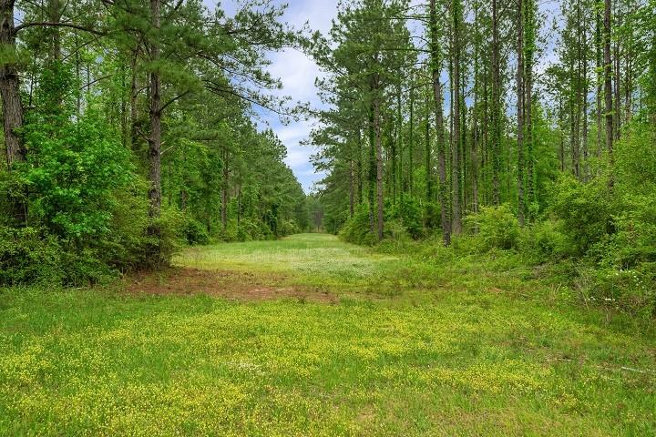 Ms Hwy 35 South, Tylertown, Mississippi image 27