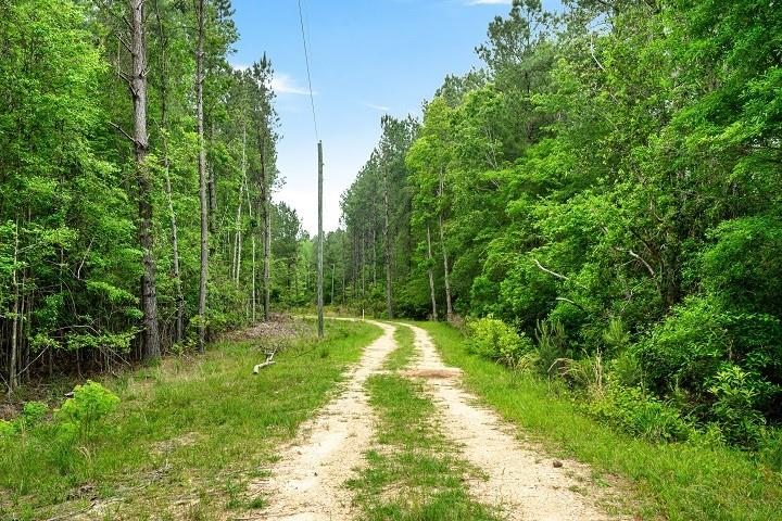 Ms Hwy 35 South, Tylertown, Mississippi image 5