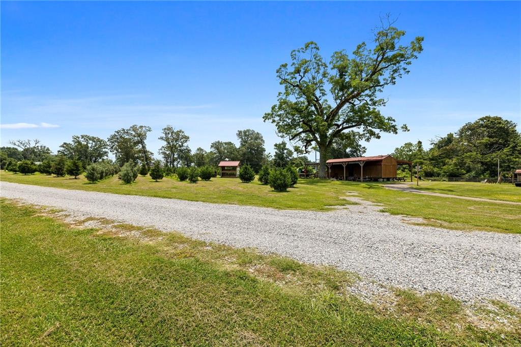 51237 Narretto Road, Loranger, Louisiana image 36