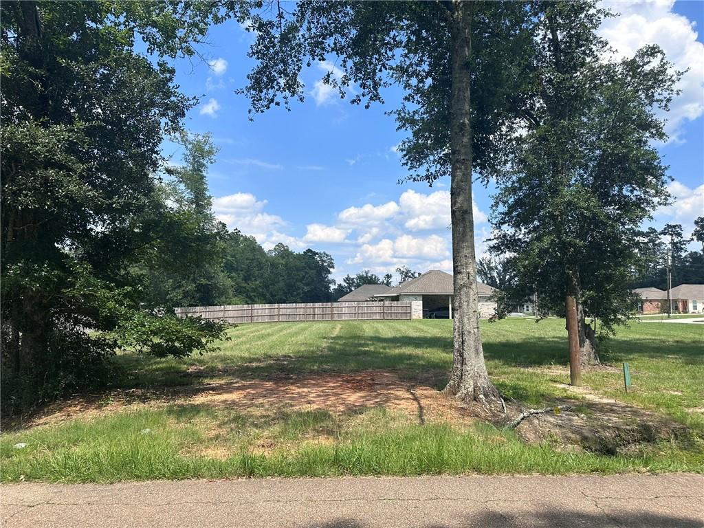 Lot 1 Booker Ii Road, Hammond, Louisiana image 1