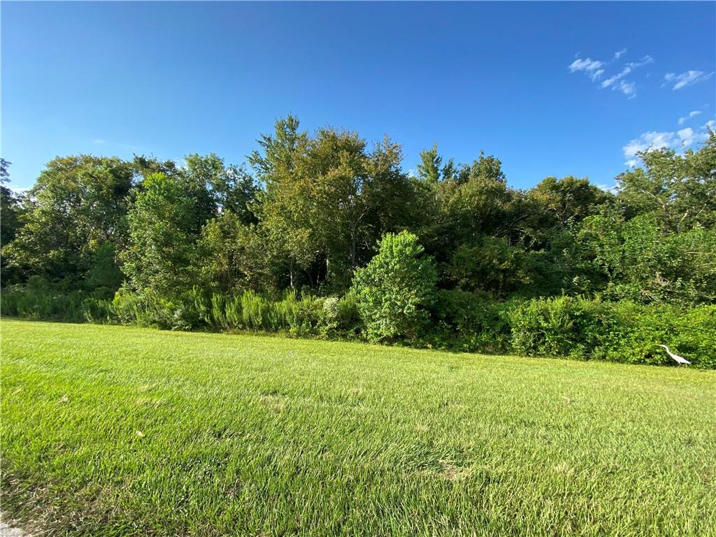 Lot 23 C-2 East La Hwy 46 Highway, Saint Bernard, Louisiana image 1