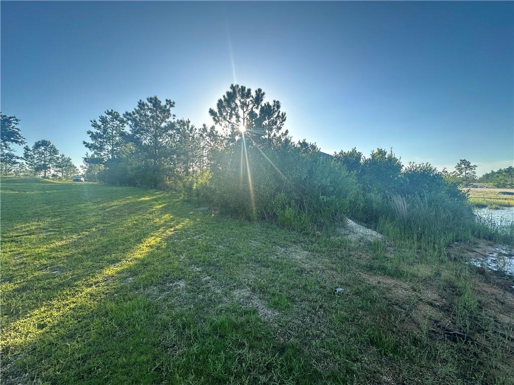 Emerald Court, Franklinton, Louisiana image 11