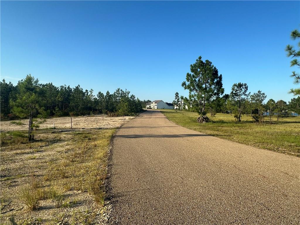 Emerald Court, Franklinton, Louisiana image 15