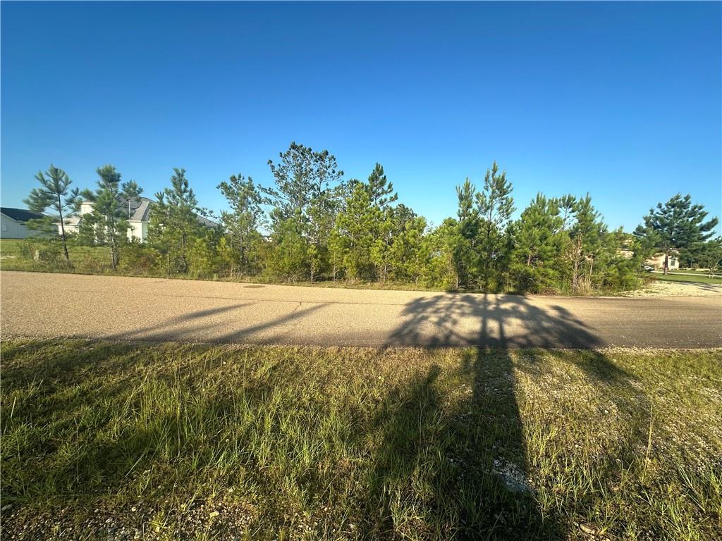 Emerald Court, Franklinton, Louisiana image 5