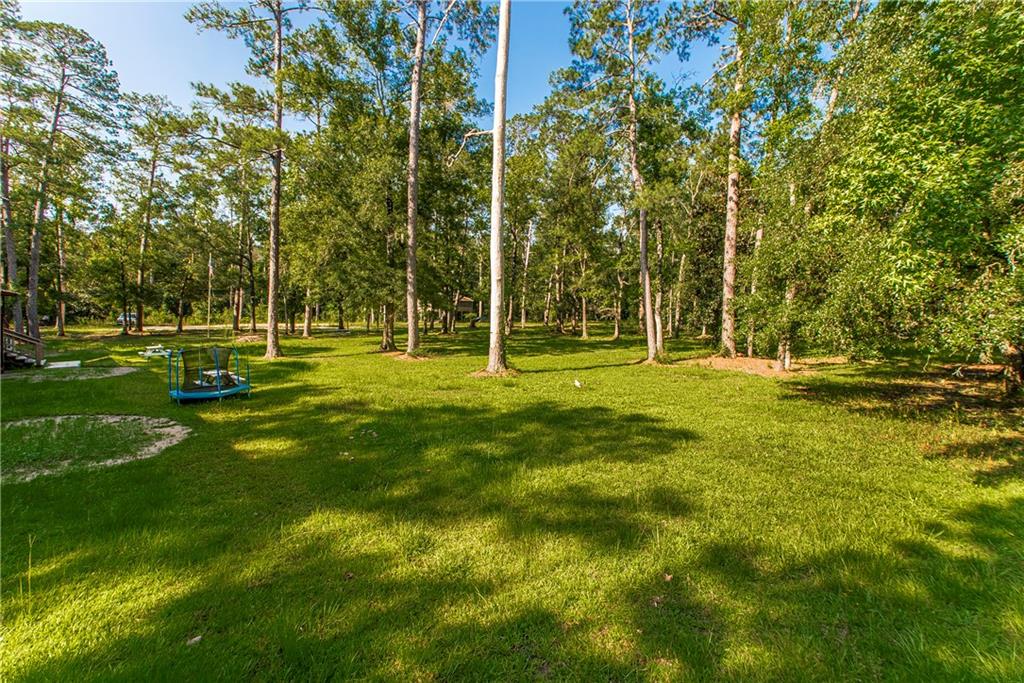 23629 Faith Road, Ponchatoula, Louisiana image 9