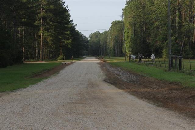 Karli Lane, Albany, Louisiana image 14