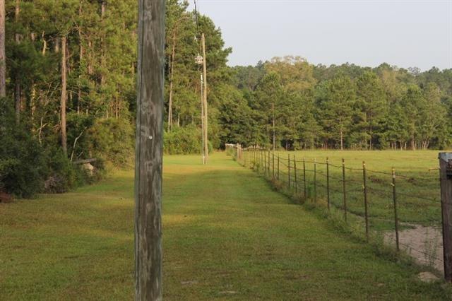 Karli Lane, Albany, Louisiana image 17