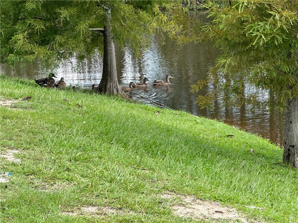 1649 Audubon Park, Madisonville, Louisiana image 19