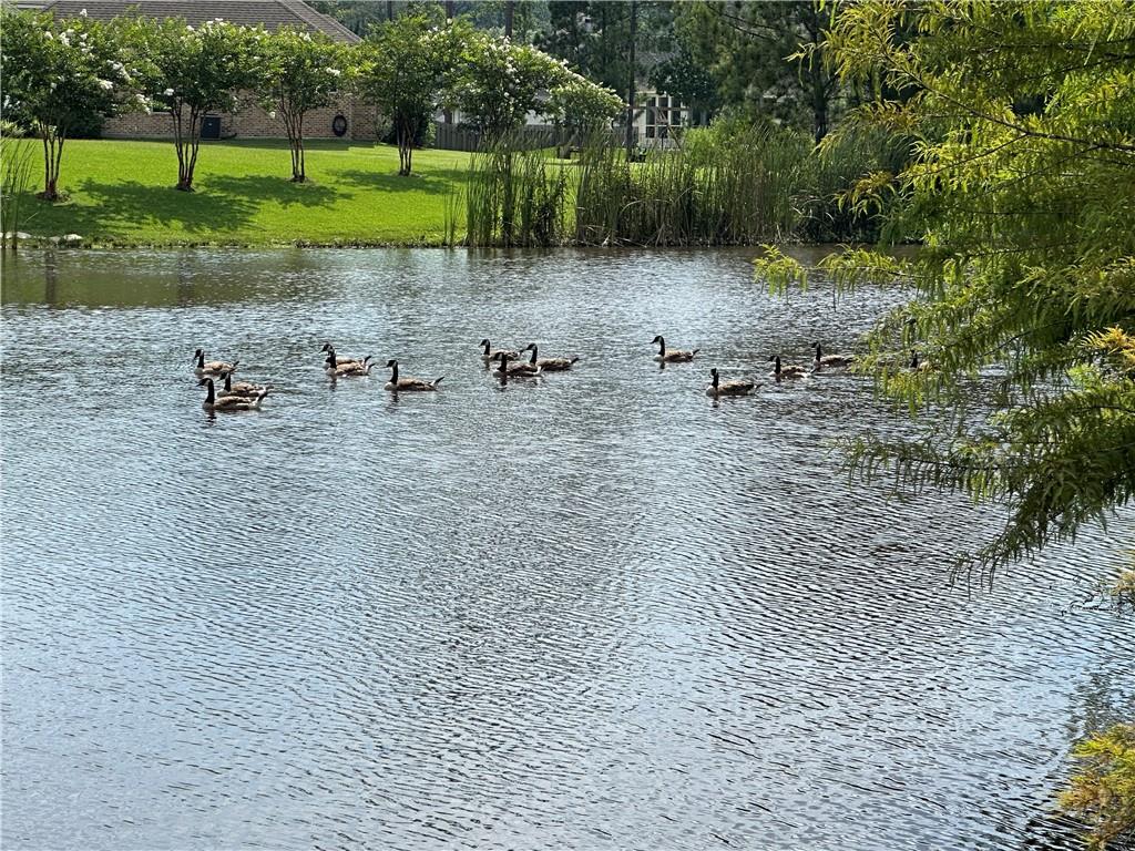 1649 Audubon Park, Madisonville, Louisiana image 21