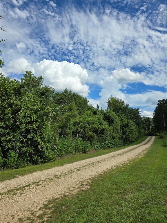 425 Old River Road, Bogalusa, Louisiana image 3