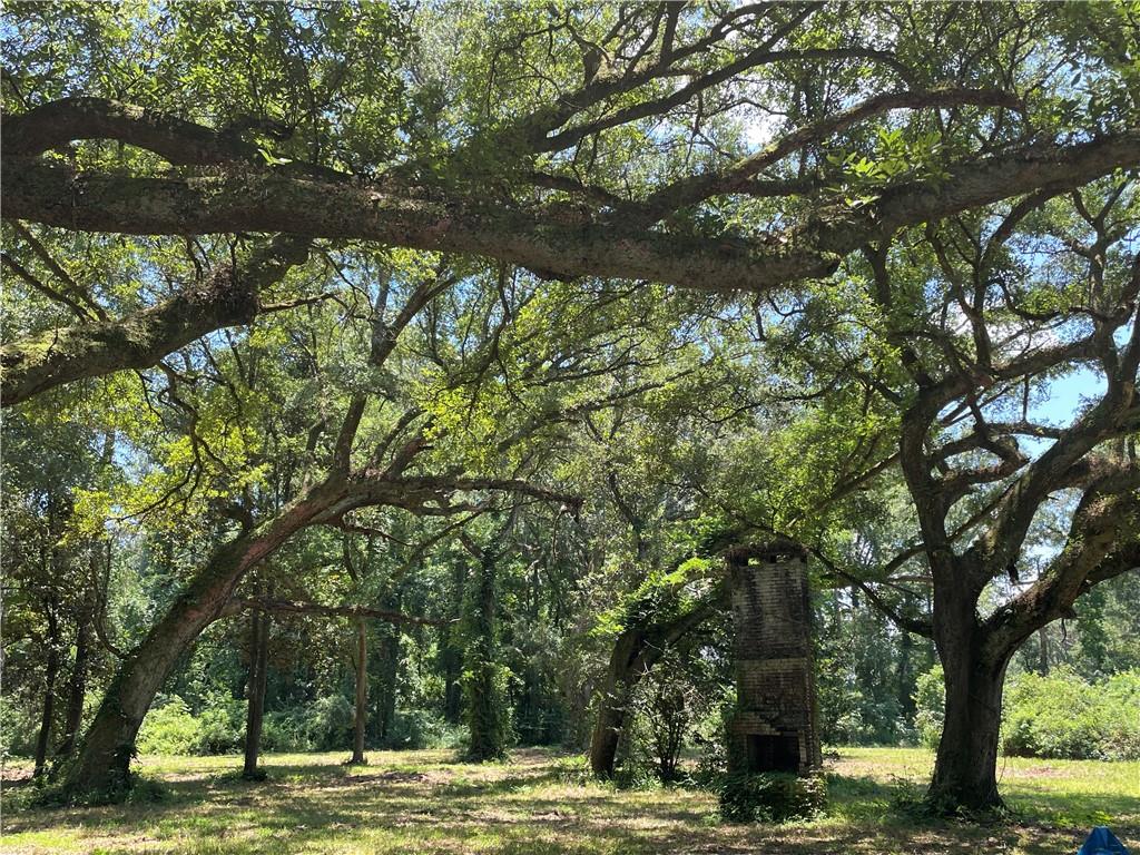 Highway 40 Highway, Bush, Louisiana image 12