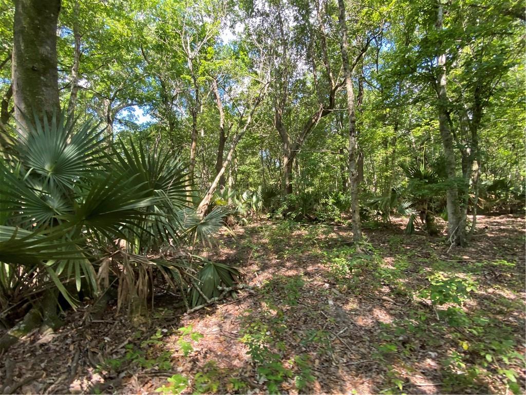 Poydras Plant Lot 10, Saint Bernard, Louisiana image 8