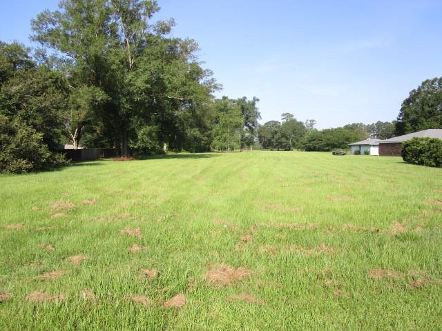 Old Us 51 Highway, Independence, Louisiana image 1