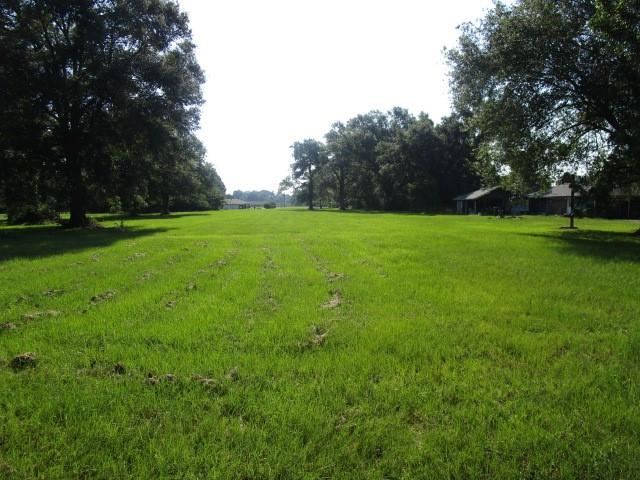 Old Us 51 Highway, Independence, Louisiana image 2