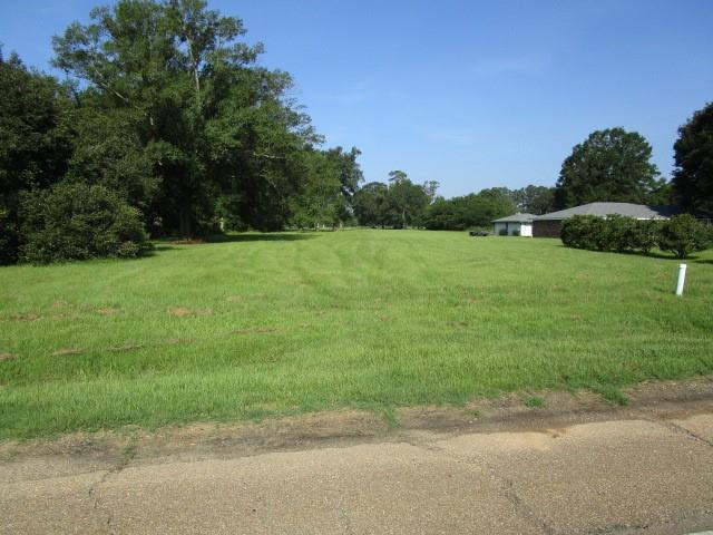 Old Us 51 Highway, Independence, Louisiana image 3