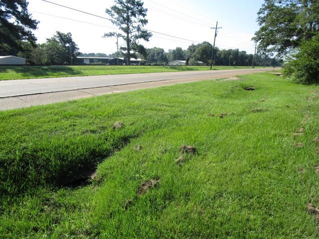 Old Us 51 Highway, Independence, Louisiana image 4