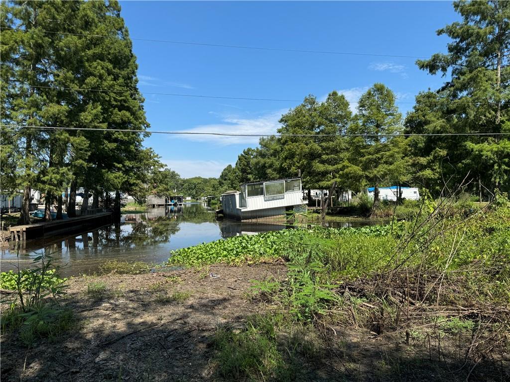 22283 Gull Street, Maurepas, Louisiana image 3