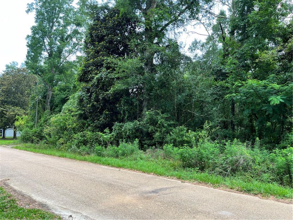 Lot 26 Markham Drive, Lacombe, Louisiana image 11