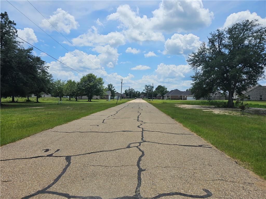 31618 Ferina Lane, Albany, Louisiana image 5